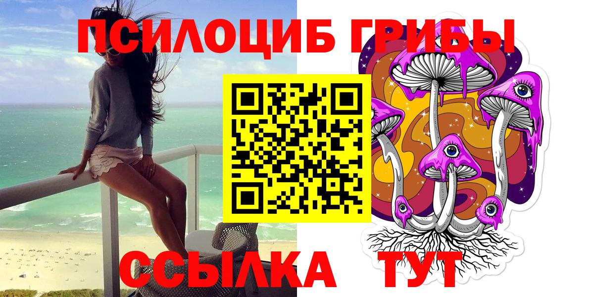 Мирный  Галлюциногенные грибы Cubensis  Вход с VPN 