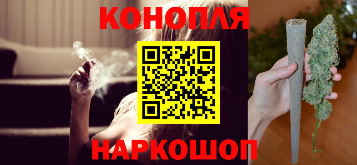 Конопля планчик Мирный